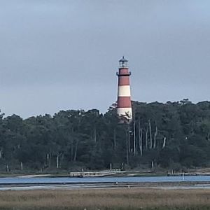 Meet your Posher, Cathy